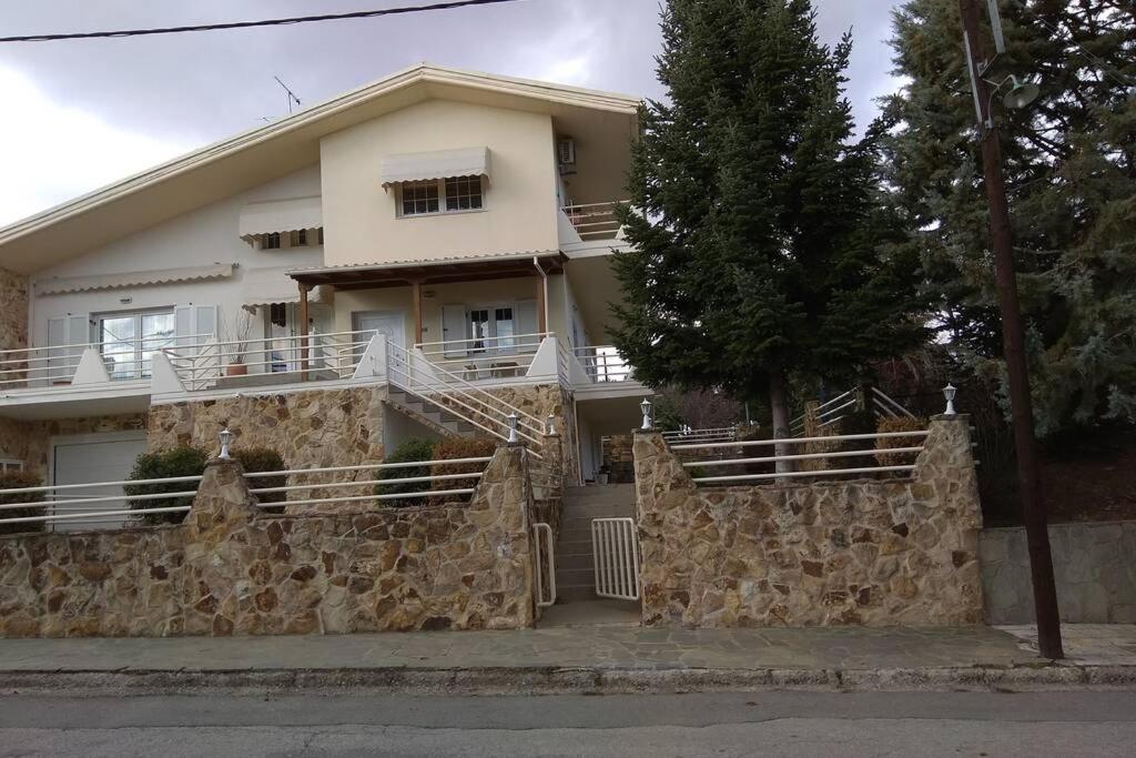 The Stone House Kozani Exterior foto